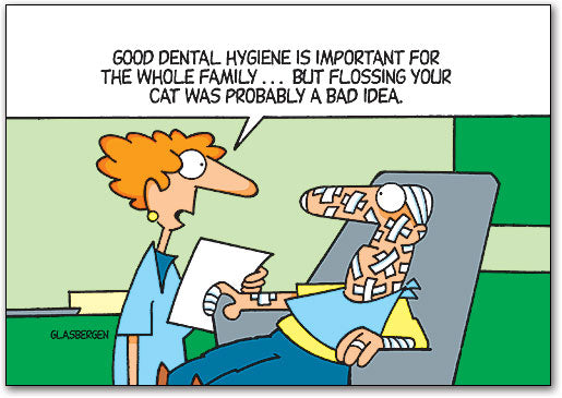 Flossing The Cat Bad Idea Postcard