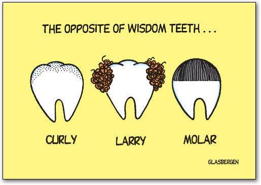 Opposite Of Wisdom Teeth Postcard