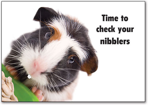 Check Your Nibblers Postcard