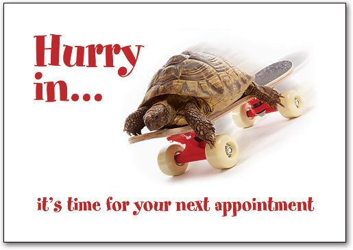 Hurry In Turtle Postcard