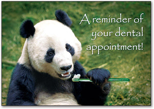 Panda Brush Postcard