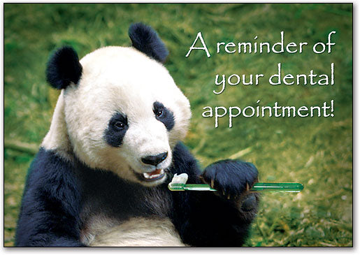 Panda Brush Postcard