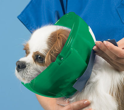 Soft Paws E-Collar