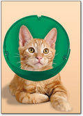 Soft Paws E-Collar