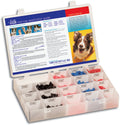 Soft Claws® K9 Colour Groomer Starter Kit