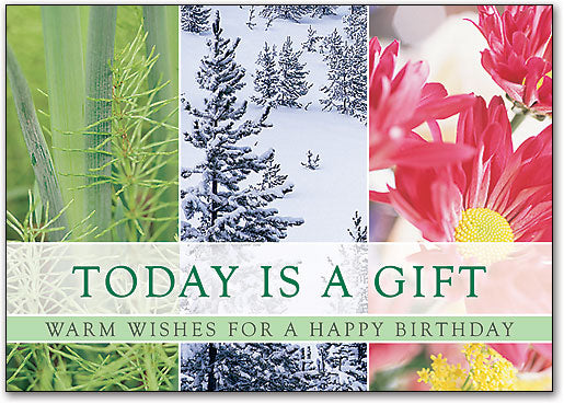 Today is a Gift Postcard