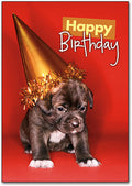 Gold Hat Puppy Postcard