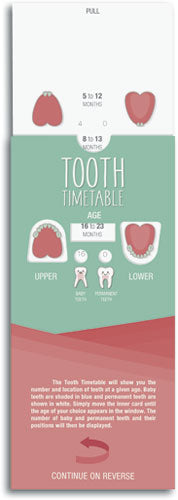 Dental Development Slide Guide