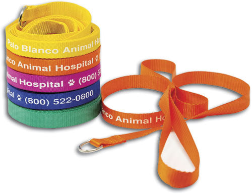 4' Neon Bright Personalised Pet Leads (Assorted colours)