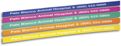 4' Neon Bright Personalised Pet Leads (Assorted colours)
