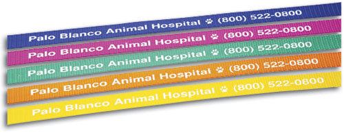 4' Neon Bright Personalised Pet Leads (Assorted colours)