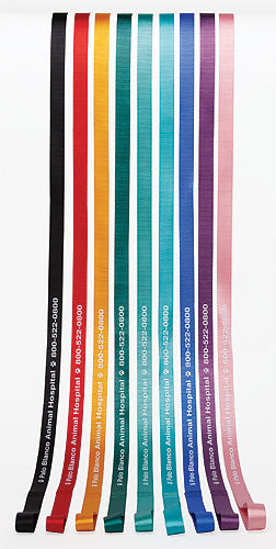 6' Personalised Pet Leads (Assorted colours)