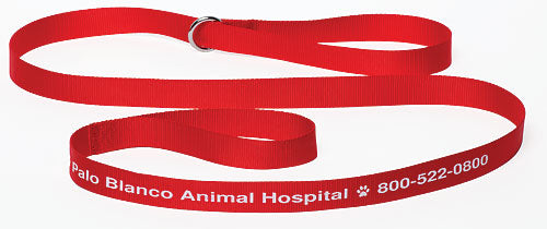 6' Personalised Pet Leads (Assorted colours)