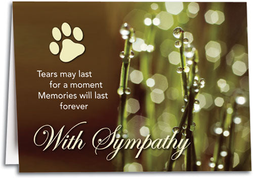 Sympathy Raindrops Folding Card