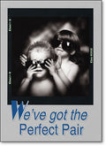 We've Got the Perfect Pair Postcard