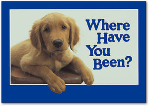 Where Have You Been? Postcard