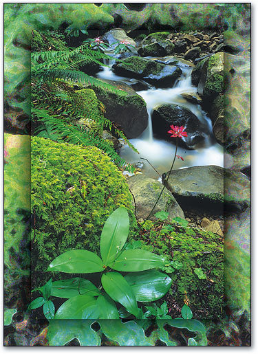 Rejuvenating Waters Postcard