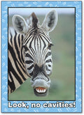 Look, No Cavities Postcard