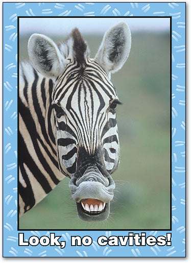 Look, No Cavities Postcard