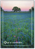 Spring Reminder Postcard