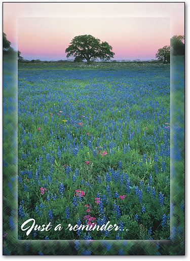 Spring Reminder Postcard