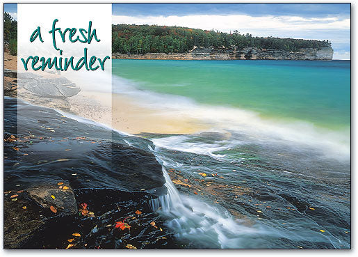 A Fresh Reminder Standard Postcard