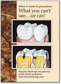 What You Can't See Standard Postcard