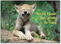 Never Too Young to Floss Postcard