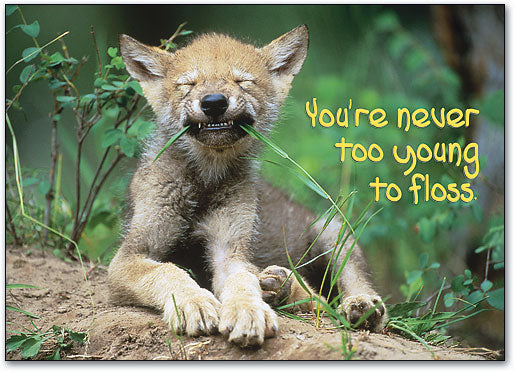 Never Too Young to Floss Postcard