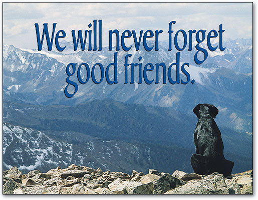 Never Forget Note-Sized Sympathy Folding Card