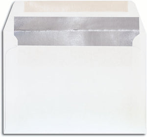 Envelope Silver