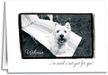 Welcome/Saved a Seat Folding Card