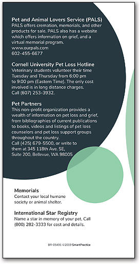 Beyond Goodbye Brochure