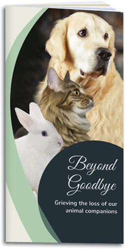 Beyond Goodbye Brochure