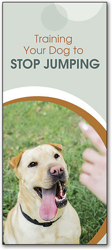 Stop Jumping Brochure