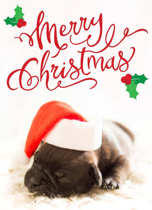 Sleeping Puppy Christmas Folding Card