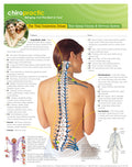Vital Connection: Your Spinal Column & Nervous System Deluxe Handouts (50pk)