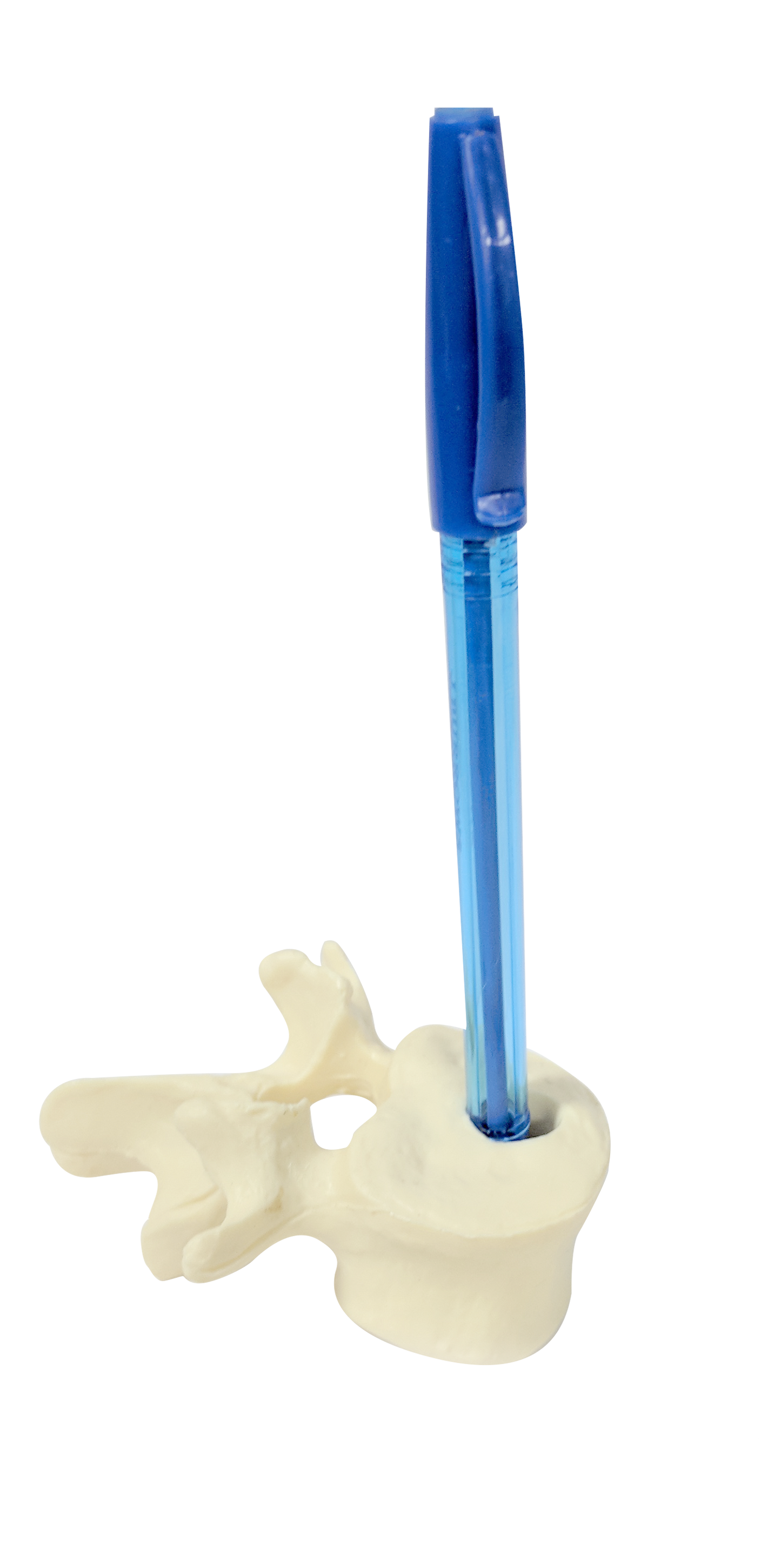 Lumbar Pen Holder