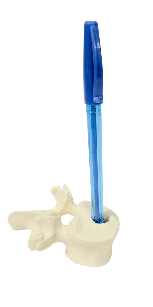 Lumbar Pen Holder