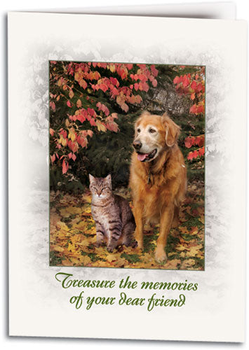 Treasure Memories Sympathy Folding Card
