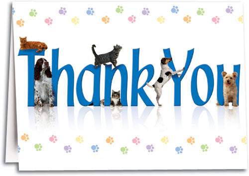 Thank You Colorful Paw Folding Card