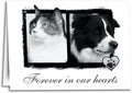 Forever Sympathy Folding Card