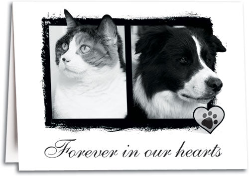Forever Sympathy Folding Card