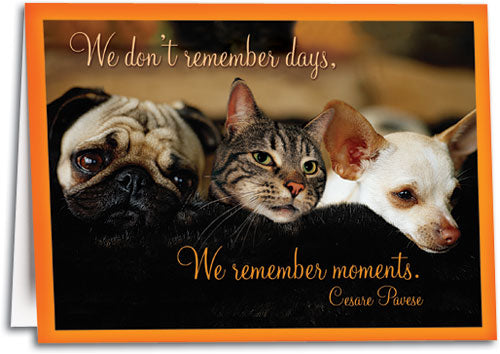 Remember Moments Sympathy Card