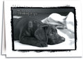 Thinking of You Sympathy Card