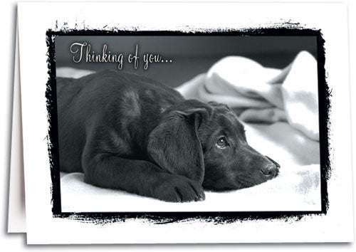 Thinking of You Sympathy Card
