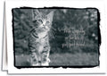 With Sympathy - Cat Folding Card