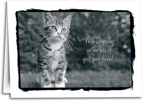 With Sympathy - Cat Folding Card