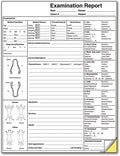 Pet Examination Report