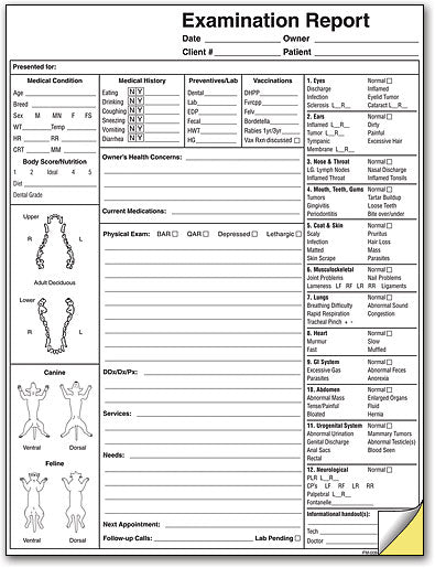 Pet Examination Report